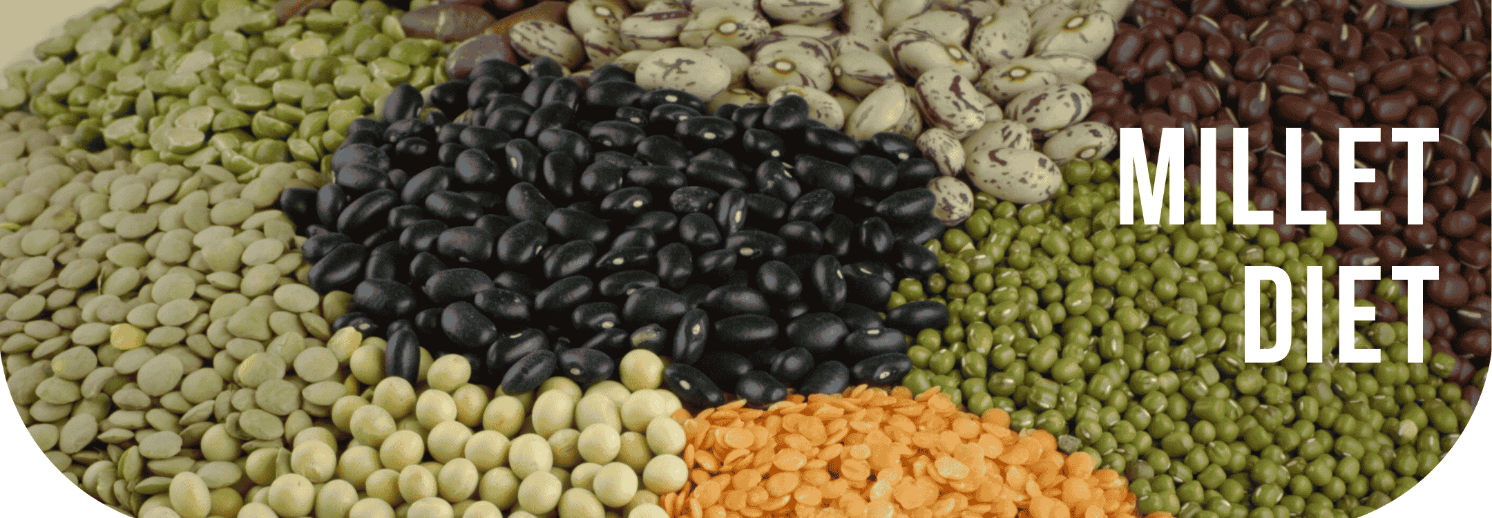 Assorted colorful millets and legumes, showcasing millet’s role as a slow-digesting, diabetes-friendly grain for steady glucose release.