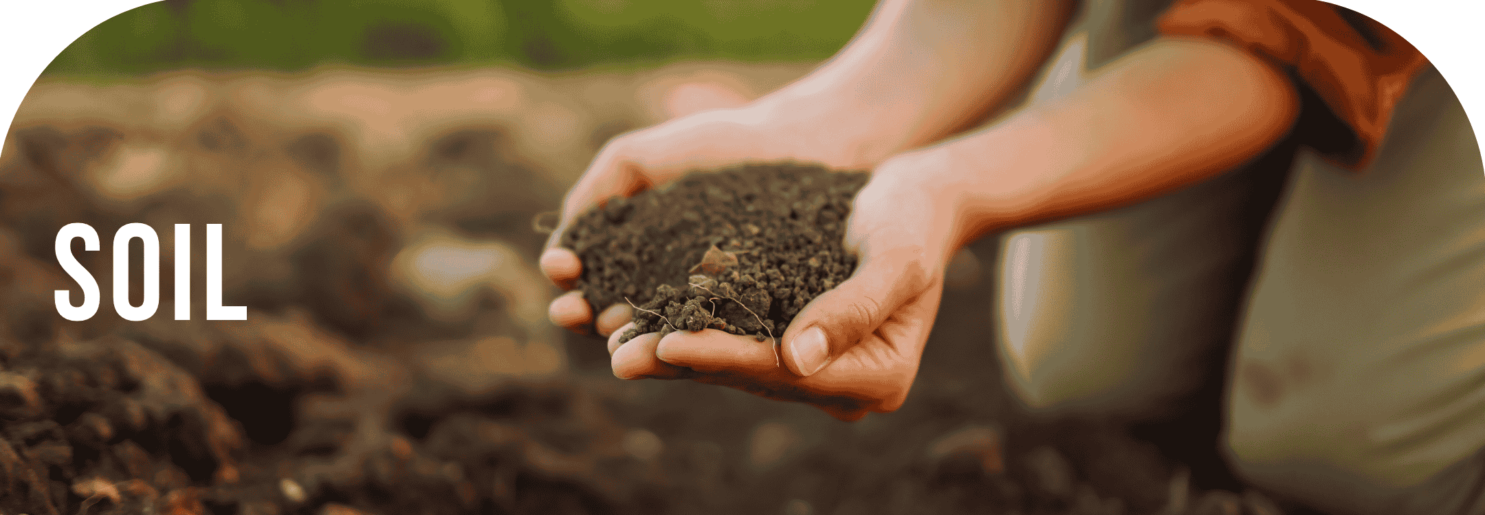 Hands holding rich soil — symbolizing connection with Earth and Sadhguru’s guidance on stabilizing energy through contact with soil.